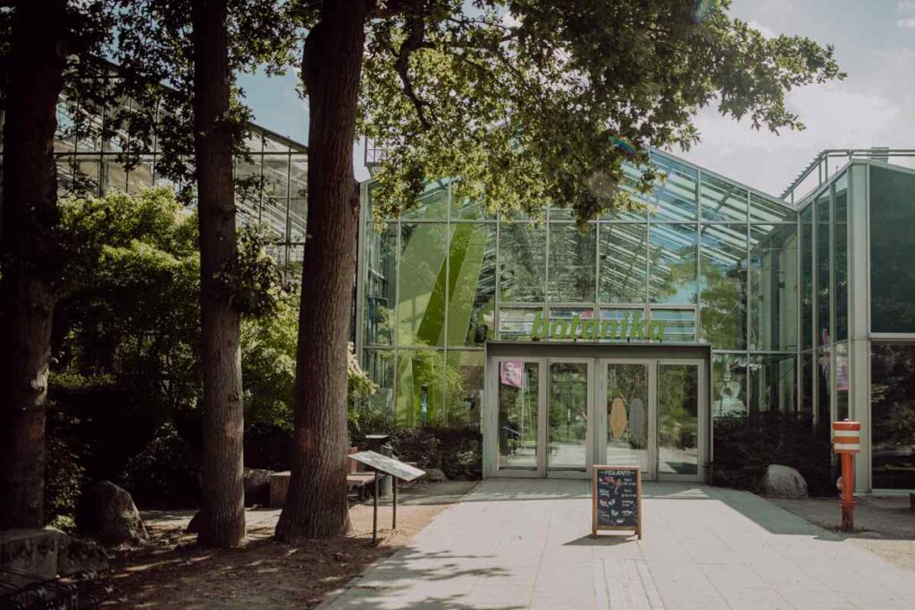 Trauung in der botanika Bremen zwischen exotischen Pflanzen und natürlichem Licht